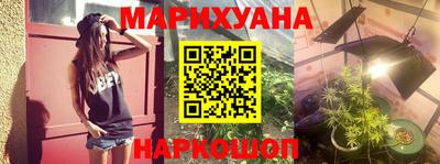 сатива Беслан