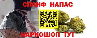 сатива Беслан