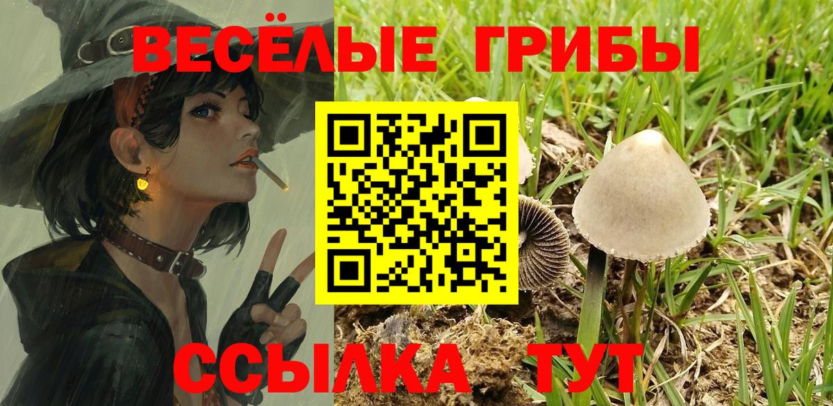 Псилоцибиновые грибы Psilocybe  Галлюциногенные грибы Psilocybe  Богородск  Вход с VPN 