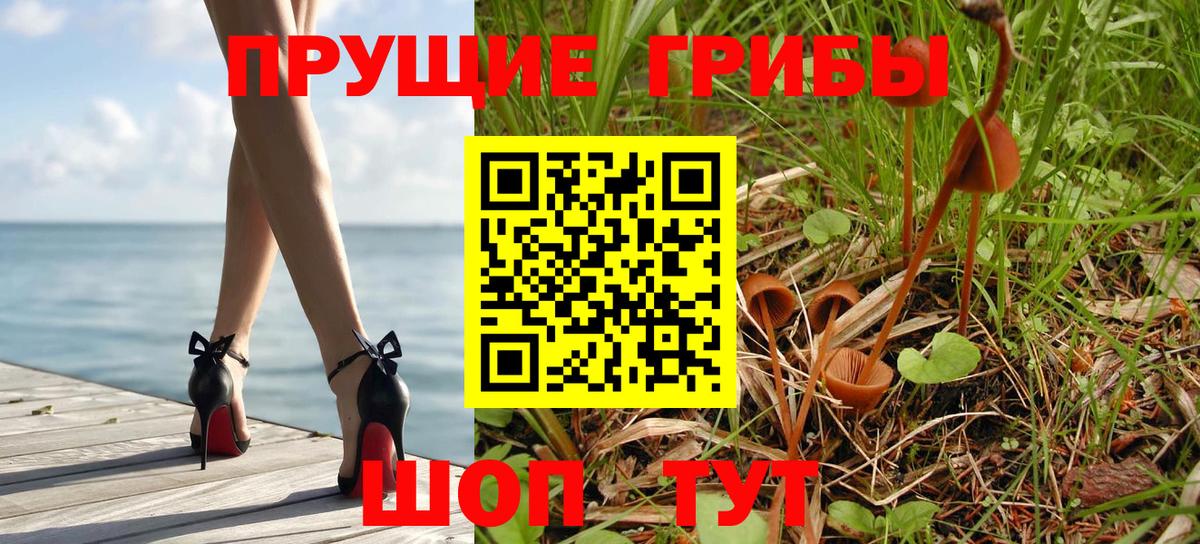 наркота  Богородск  Галлюциногенные грибы Magic Shrooms 