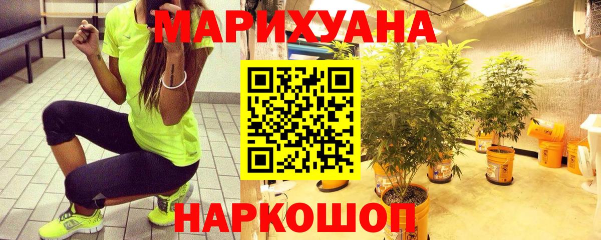 Каннабис OG Kush  Канабис SATIVA & INDICA  Богородск  МАРИХУАНА ГИДРОПОН 